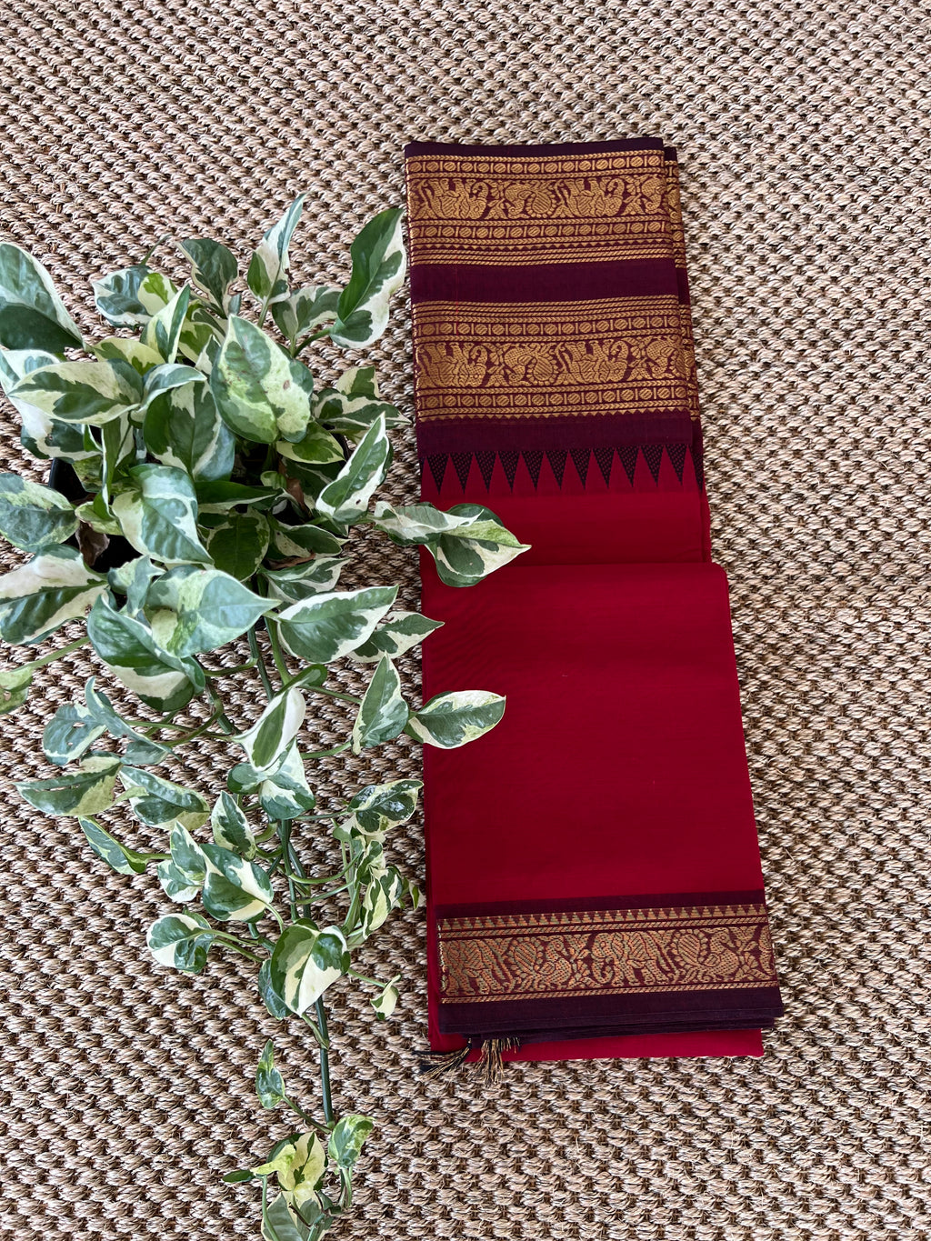 Kanchi cotton saree