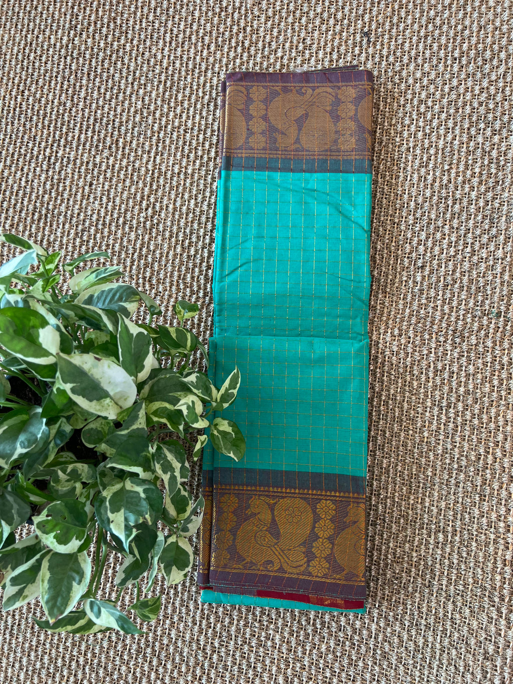 Kanchi cotton saree