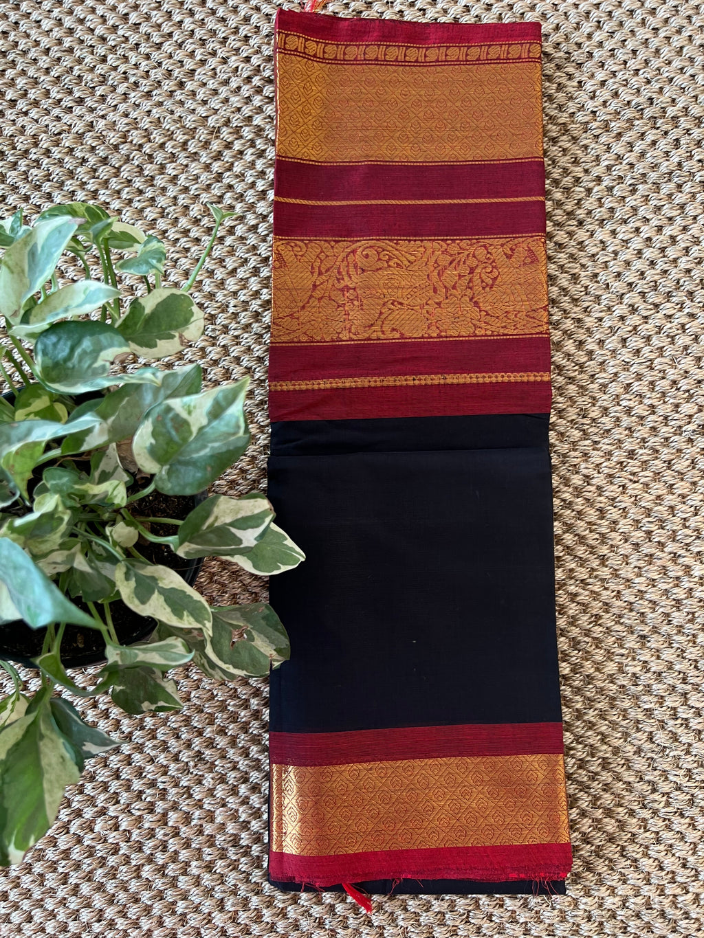 Kanchi cotton saree