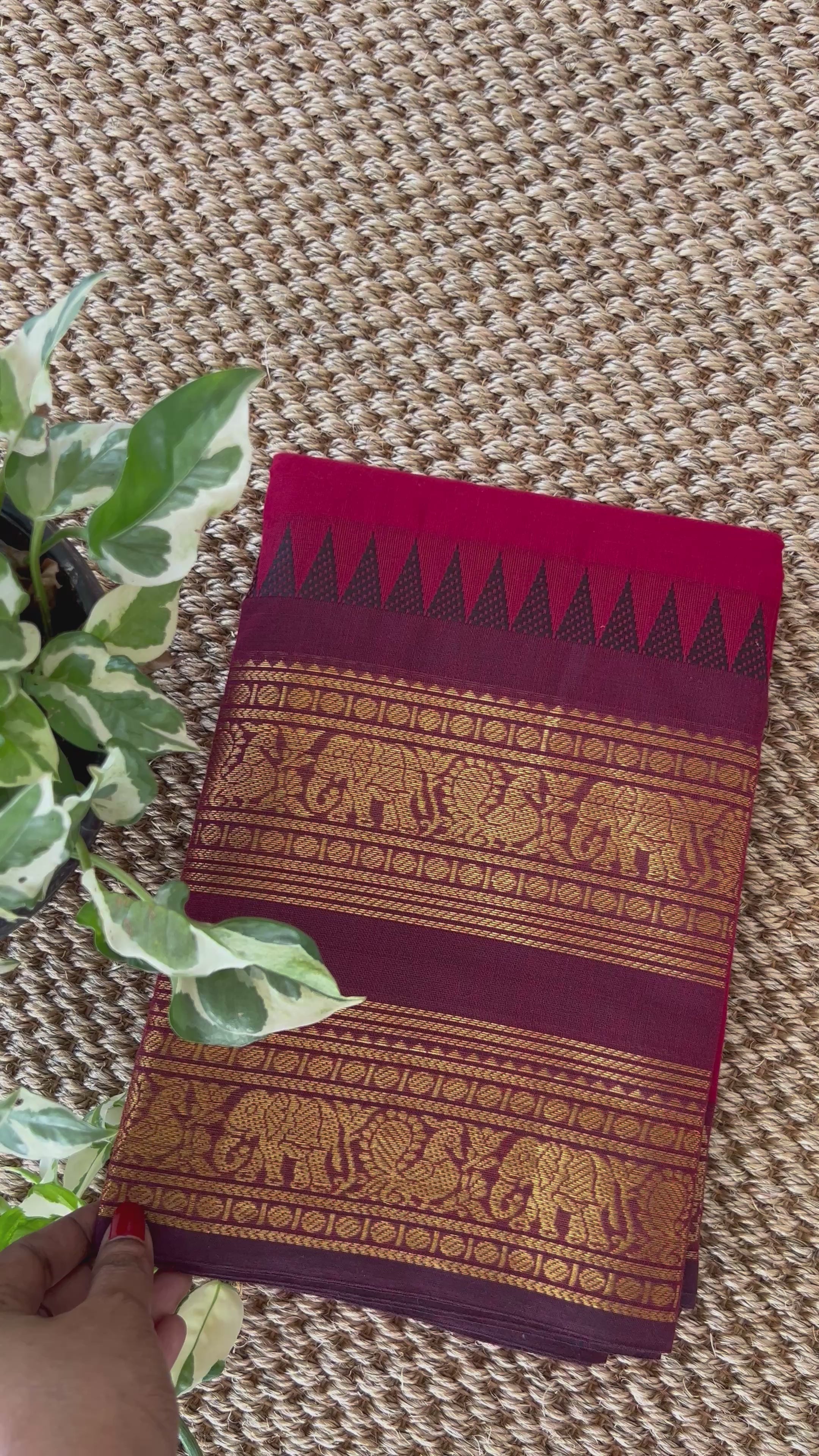 Kanchi cotton saree