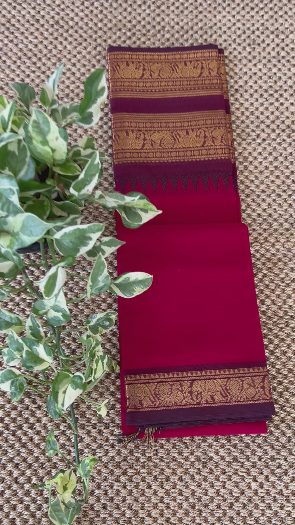 Kanchi cotton saree